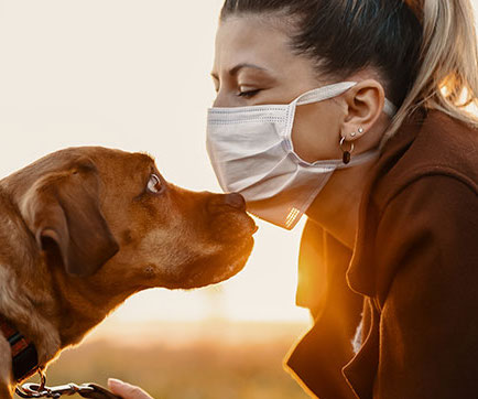 MALATTIE DEI CANI: QUALI POSSONO ESSERE TRASMESSE ALL’UOMO