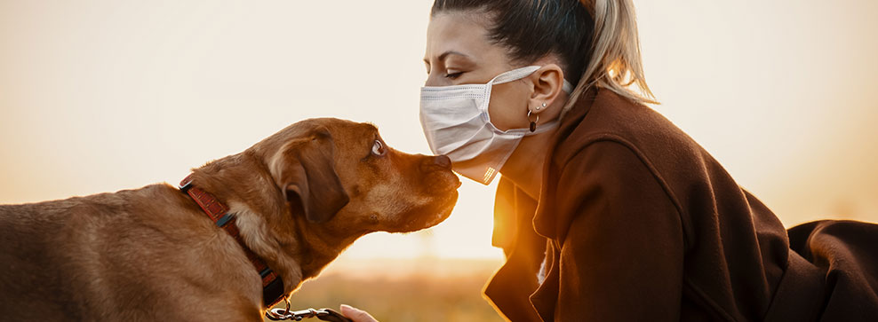 MALATTIE DEI CANI: QUALI POSSONO ESSERE TRASMESSE ALL’UOMO