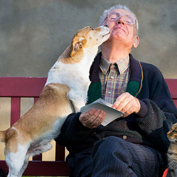 ANZIANI E ANIMALI: QUALI SONO I VANTAGGI DI VIVERE INSIEME?