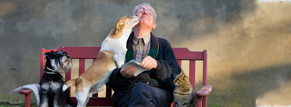 ANZIANI E ANIMALI: QUALI SONO I VANTAGGI DI VIVERE INSIEME?