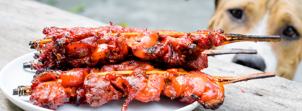 8 CONSIGLI PER TENERE AL SICURO IL CANE DAI PERICOLI DELLE GRIGLIATE