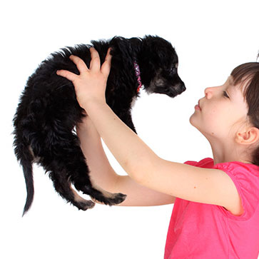 CANE O GATTO, ECCO QUALE SCEGLIERE IN BASE ALLA PROPRIA PERSONALITÀ