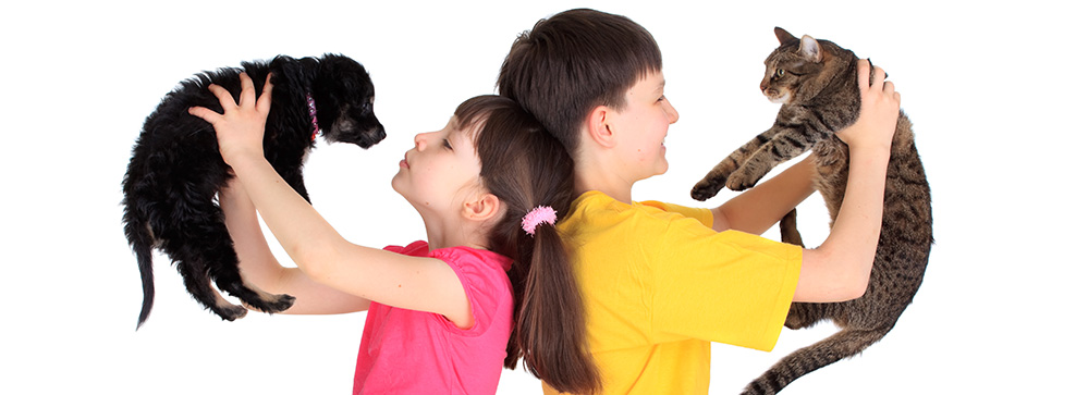 CANE O GATTO, ECCO QUALE SCEGLIERE IN BASE ALLA PROPRIA PERSONALITÀ