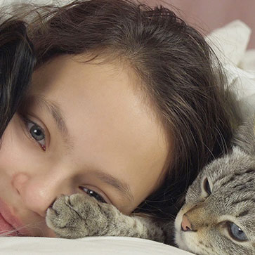 CANI E GATTO NEL LETTO: PRO E CONTRO