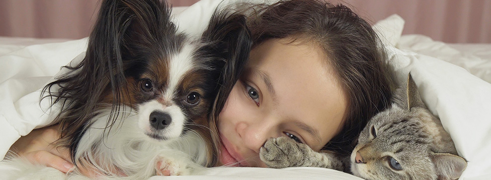CANI E GATTO NEL LETTO: PRO E CONTRO