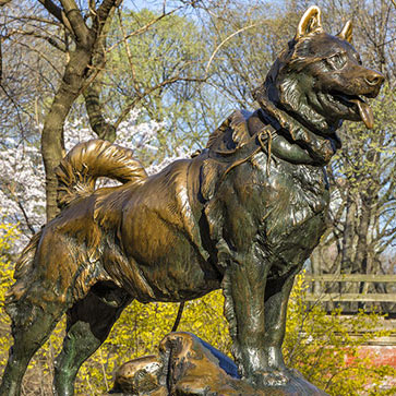 CHI SONO I CANI E GATTI PIÙ FAMOSI DELLA STORIA.