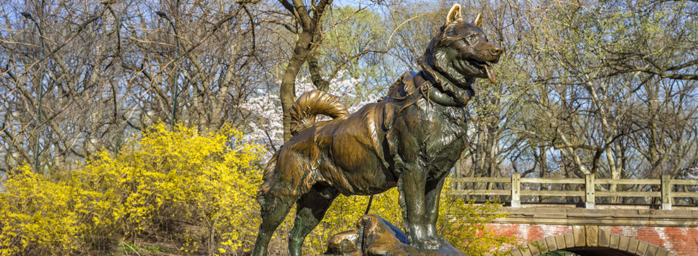 CHI SONO I CANI E GATTI PIÙ FAMOSI DELLA STORIA.