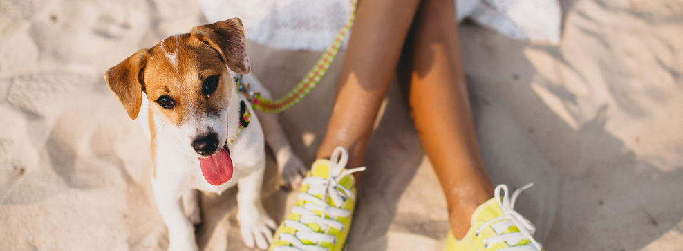COME TENERE AL SICURO IL CANE IN SPIAGGIA?