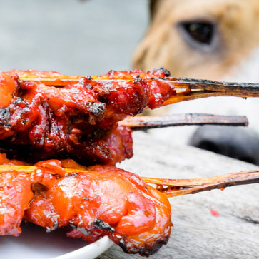 8 CONSIGLI PER TENERE AL SICURO IL CANE DAI PERICOLI DELLE GRIGLIATE