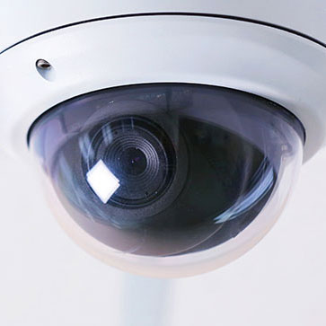 COME CONTROLLARE FIDO A DISTANZA?