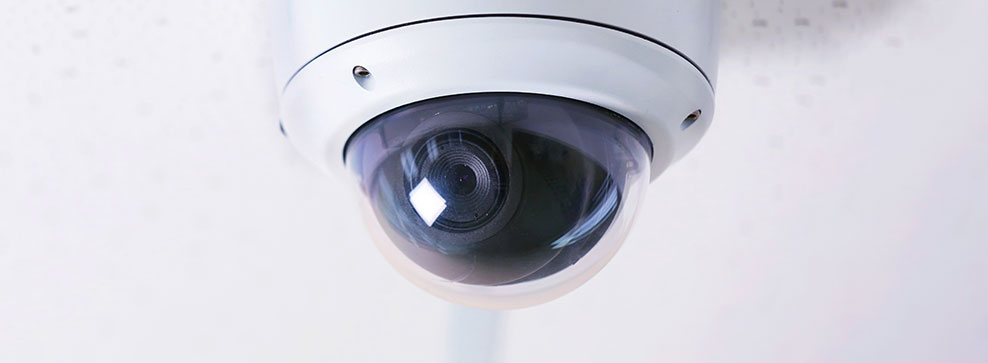 COME CONTROLLARE FIDO A DISTANZA?