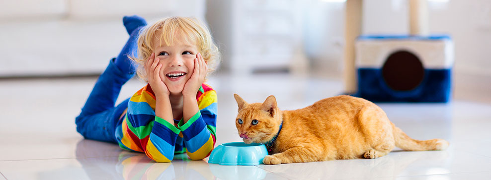 BAMBINI E GATTI: PUÒ NASCERE UN’AMICIZIA?
