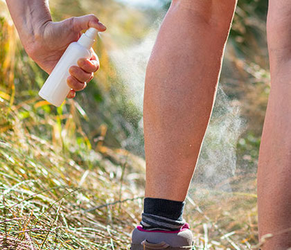 MORSI DI ZECCA E UMANI, RISCHI, RIMEDI E SOLUZIONI