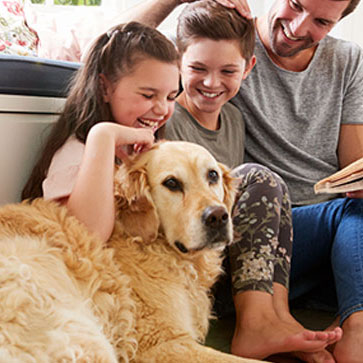 ANIMALI DA COMPAGNIA: COME AFFRONTARE LA MUTA DEL PELO?