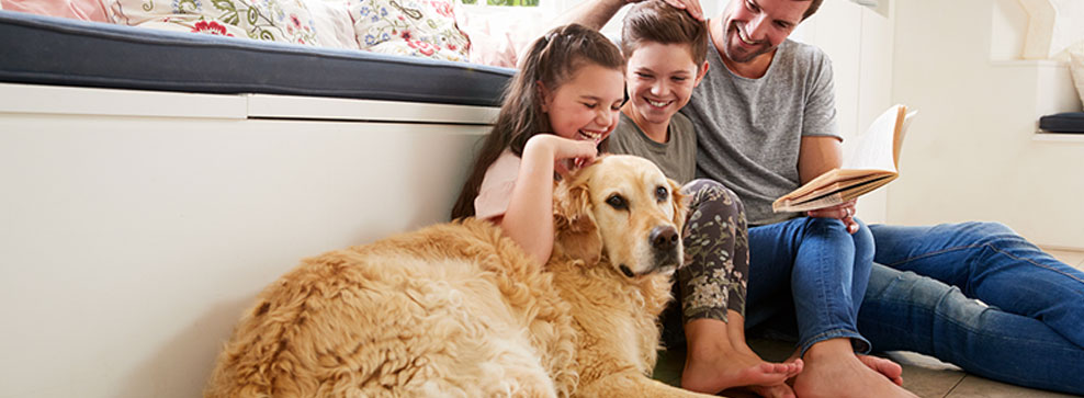 ANIMALI DA COMPAGNIA: COME AFFRONTARE LA MUTA DEL PELO?