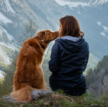 PASSEGGIATE IN MONTAGNA: COME PROTEGGERE AL MEGLIO IL CANE DALLE ZECCHE