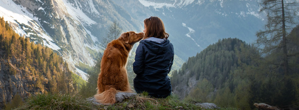 PASSEGGIATE IN MONTAGNA: COME PROTEGGERE AL MEGLIO IL CANE DALLE ZECCHE