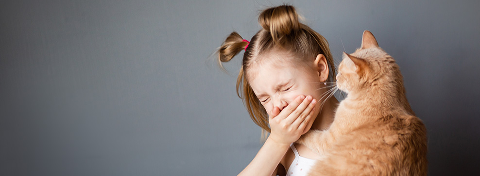 PERCHÉ SIAMO ALLERGICI AI GATTI E COME GESTIRE IL PROBLEMA?