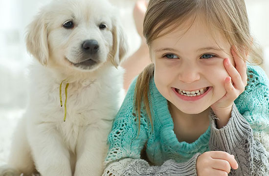 PICCOLI APPARTAMENTI E CANI