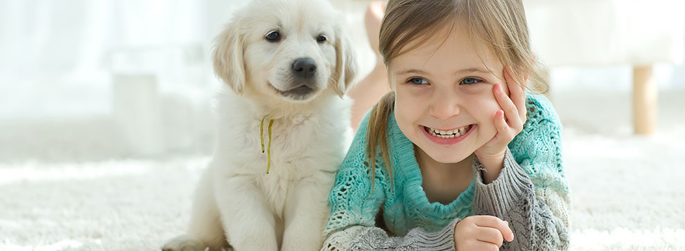 PICCOLI APPARTAMENTI E CANI