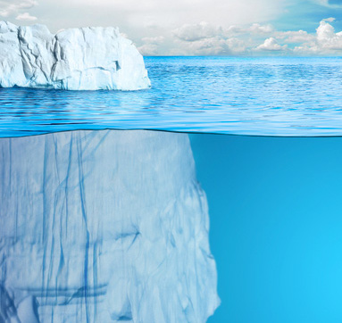 PULCI SU CANE E GATTO: LA PUNTA DELL'ICEBERG