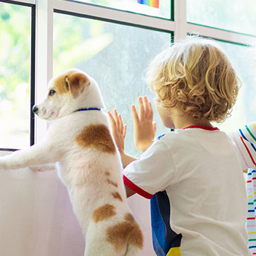 crescere con un animale