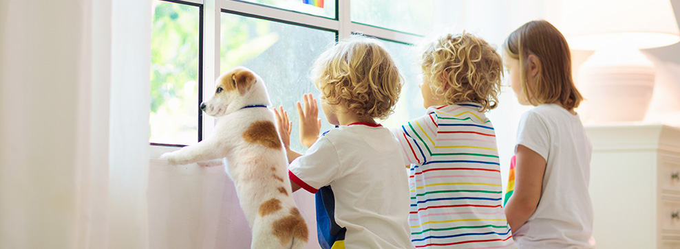 crescere con un animale