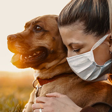 animali domestici e coronavirus