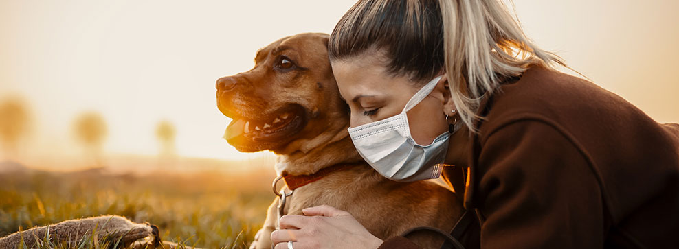 animali domestici e coronavirus