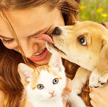 emozioni cani e gatti