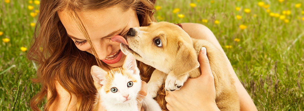 emozioni di cani e gatti