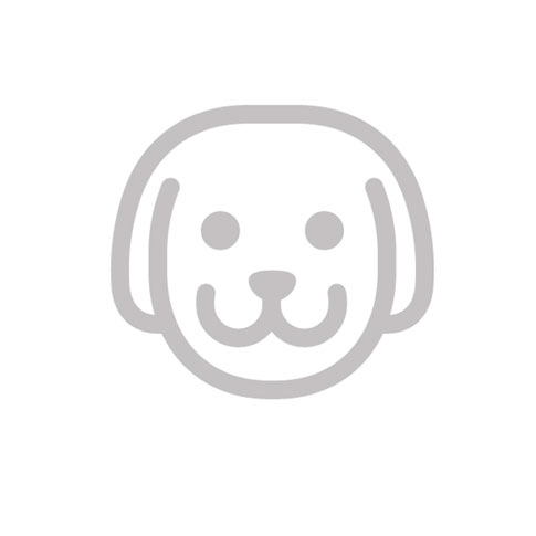 consigli per il cane