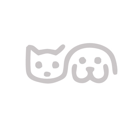 Consigli per i cuccioli