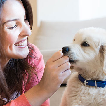 fasi di vita del cane