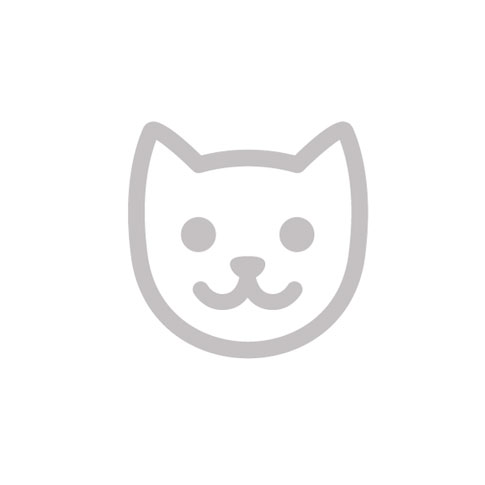 Consigli per il gatto