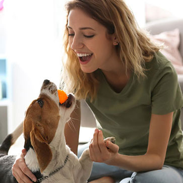 COME FAR GIOCARE GLI ANIMALI IN CASA SENZA INCIDENTI?