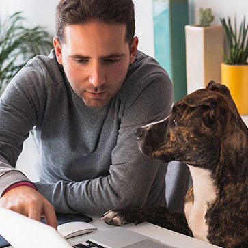 COME LAVORARE DA CASA CON IL TUO AMICO A QUATTRO ZAMPE