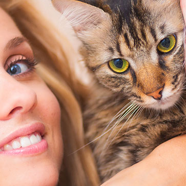 linguaggio del gatto