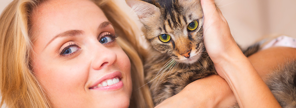 linguaggio dei gatti