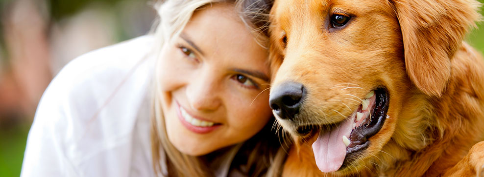 TOSATURA DEL CANE: ECCO COSA C’È DA SAPERE PRIMA DI TAGLIARE IL PELO DEL NOSTRO AMICO A 4 ZAMPE