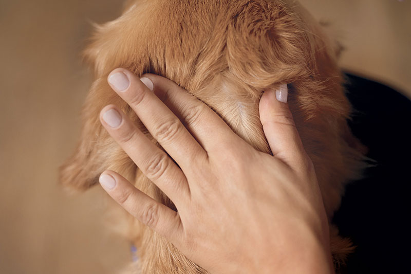 PREPARARE LA PARTE DA TRATTARE