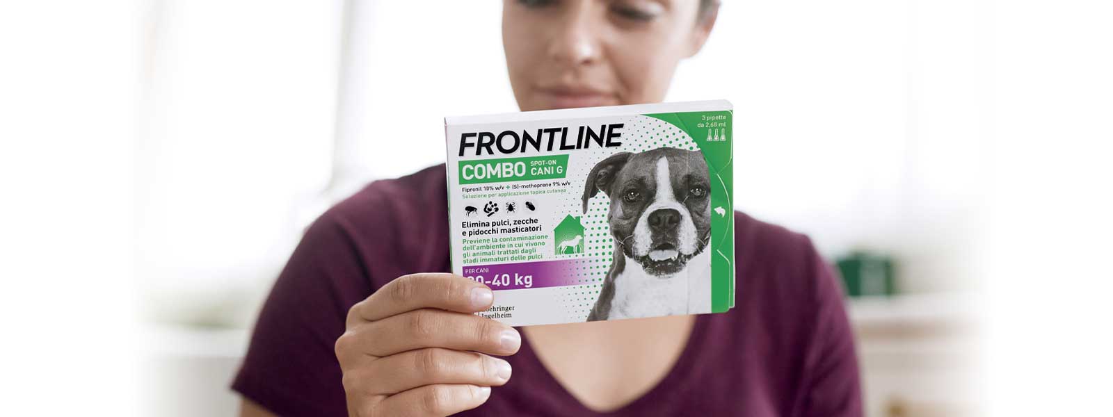 hero-frontline-combo-cani