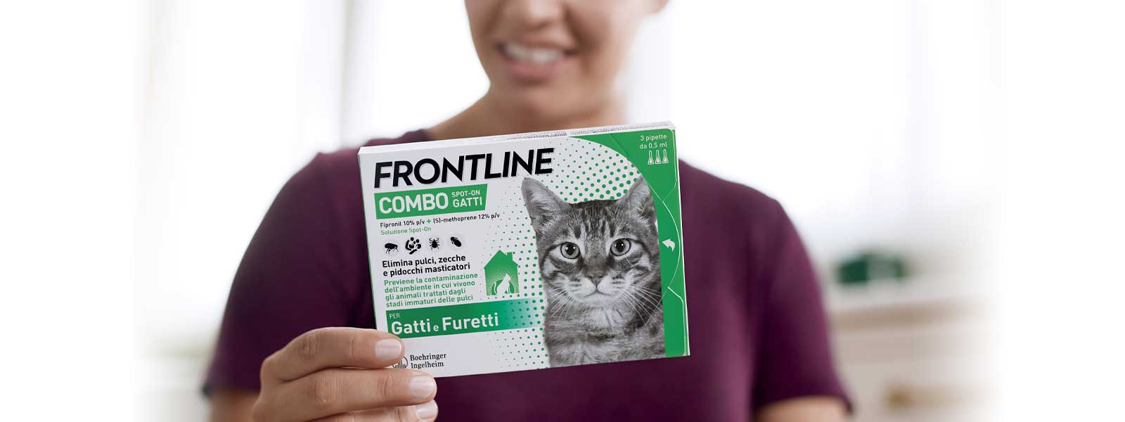 hero-frontline-combo-gatto
