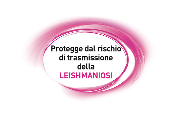 leishmaniosi