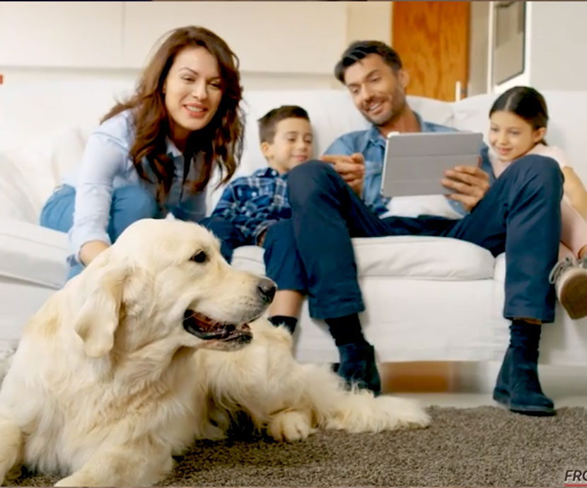 come si usa homegard