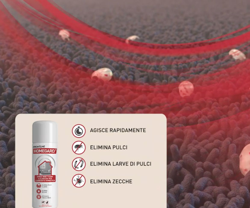 come si usa homegard