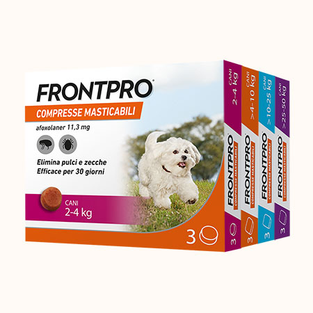 Frontpro