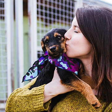 adozione animali domestici