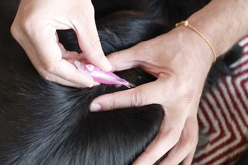 Applicare Frontline Tri-Act