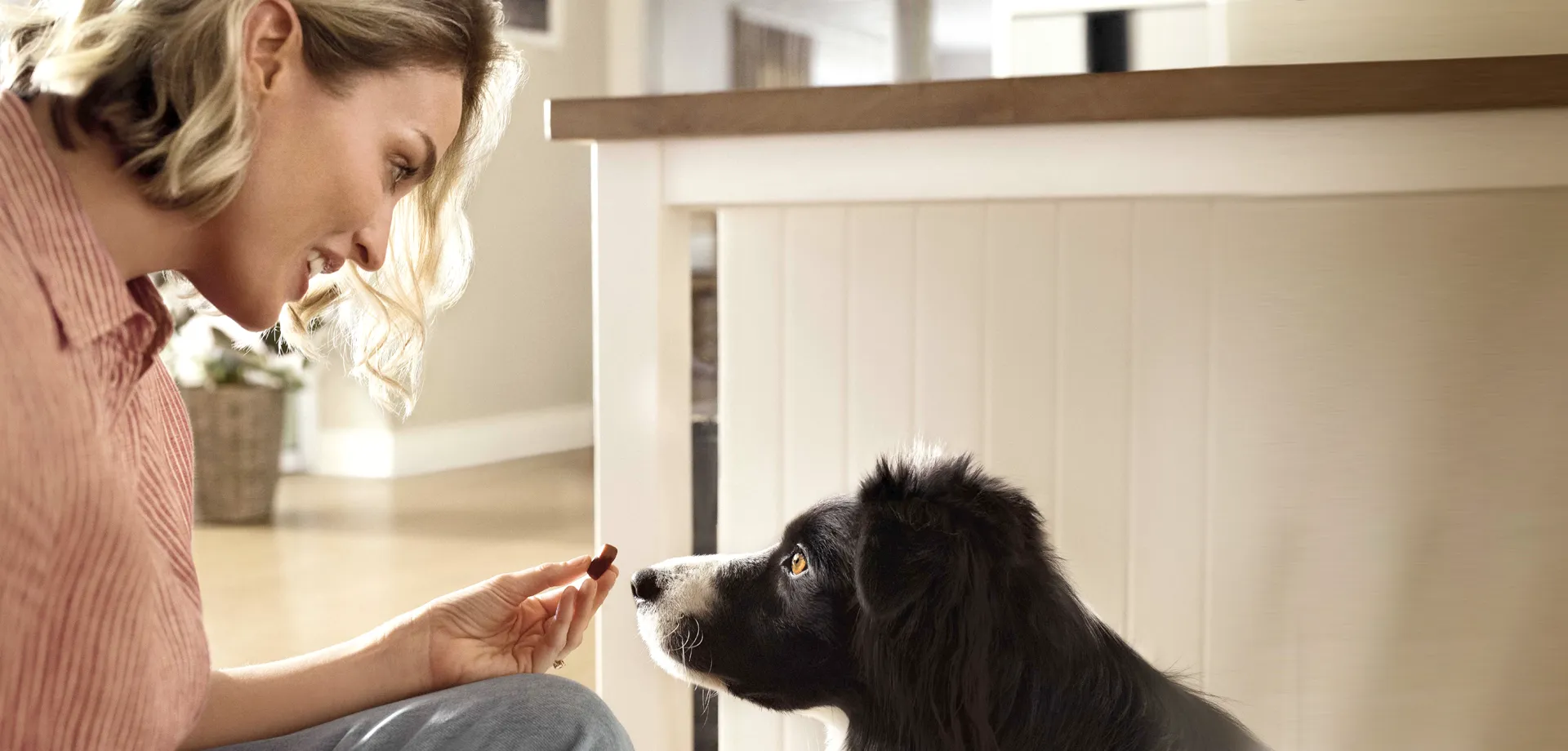 FRONTPRO<sup>®</sup>